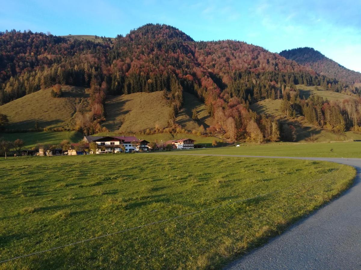 Appartamento Bio- Bauernhof Obermaurach Walchsee Esterno foto